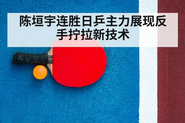 ping pong racket