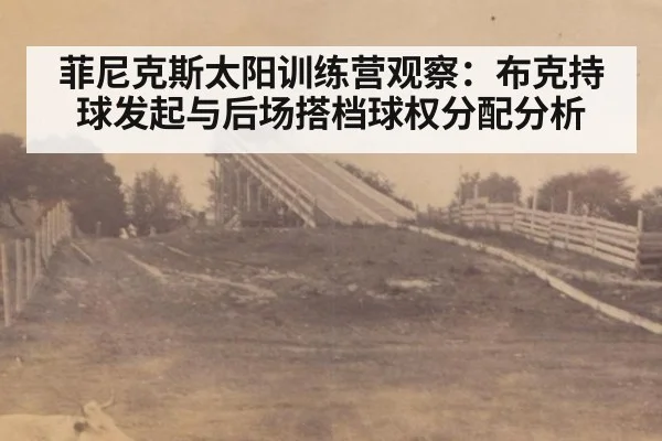 菲尼克斯太阳训练营观察：布克持球发起与后场搭档球权分配分析